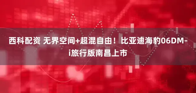 西科配资 无界空间+超混自由！比亚迪海豹06DM-i旅行版南昌上市