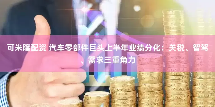 可米隆配资 汽车零部件巨头上半年业绩分化：关税、智驾、需求三重角力