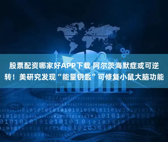 股票配资哪家好APP下载 阿尔茨海默症或可逆转!美研究发现“能量钥匙”可修复小鼠大脑功能